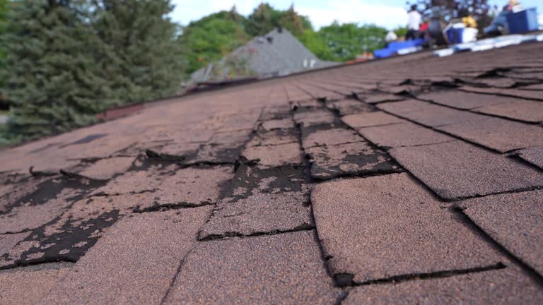 Best Roof Insulation Installation  in Del Aire, CA