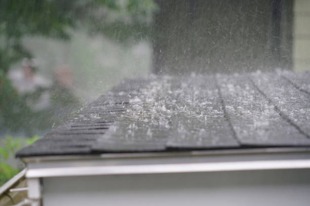 Best Skylight Installation and Repair  in Del Aire, CA